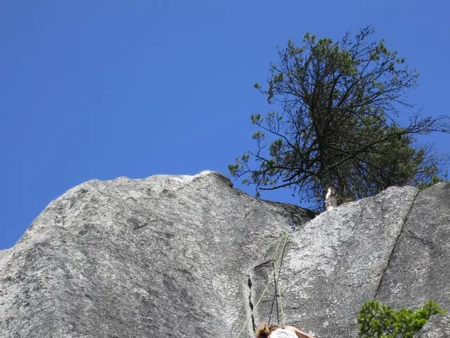 Elderly female victim plummets during ascent in Upper Franconia, confronting dire consequences