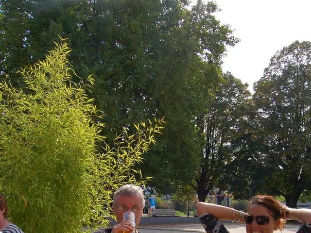 Guidelines for Combining Irish Dishes with Beer