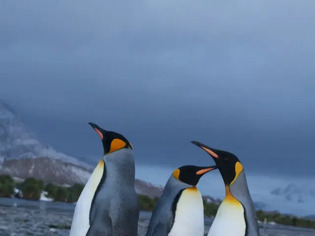 Daily Wordle Solutions Unveiled: August 11, 2025