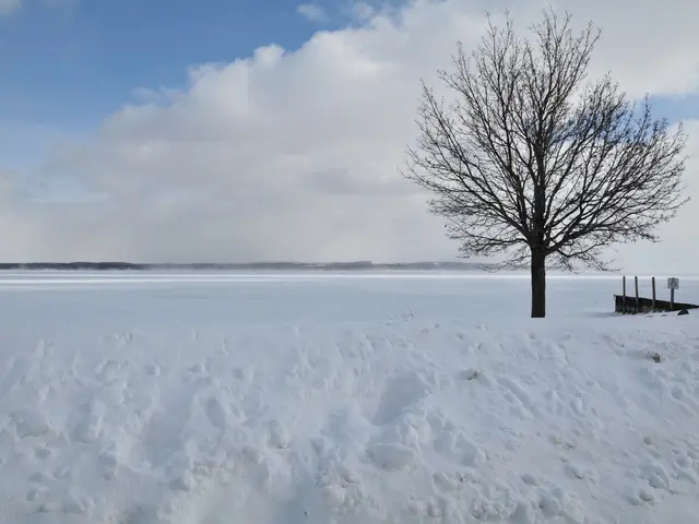 A tempest is making its way towards Omsk.