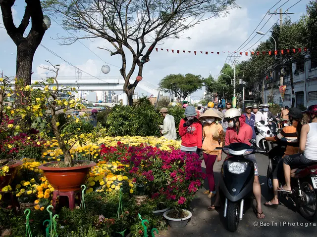 Summertime Pedaling: City Bikes with Crutches for a Ride