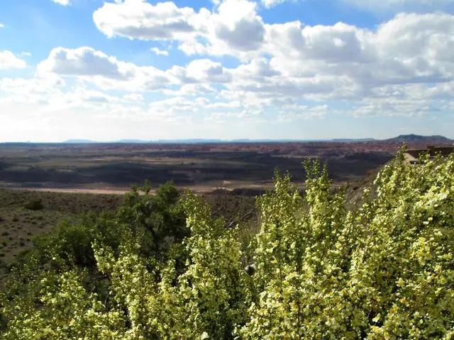 Transaction Exchange: Swapping Goods and Services Between Parties