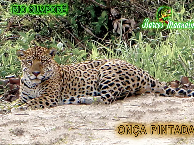 Examining the authenticity of the xenomorph in 'Alien: Earth': a zoologist discusses the...