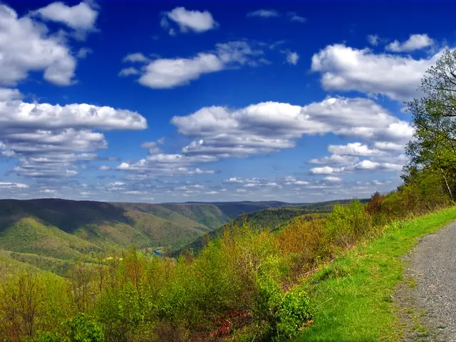 Greeting, Esteemed President.