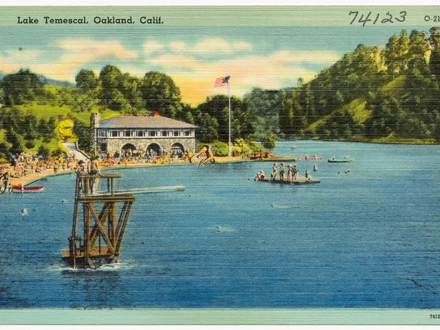 Elderly Individual Fends Off Robbers with Physical Confrontation