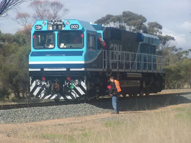 Individual leaps onto a journeying train at Karlsruhe Main Railway Station
