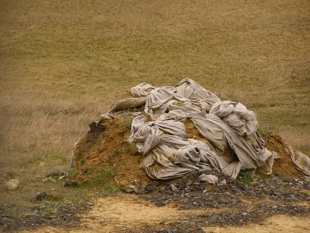 Comprehensive Guide to Underground Watering in Sand-rich Soils