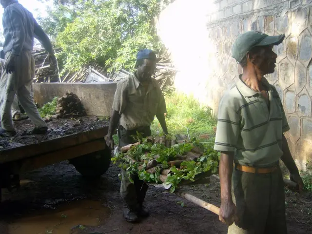 "Dangote Accused by Phyna: Truck Disaster Leaves Sister Dead"