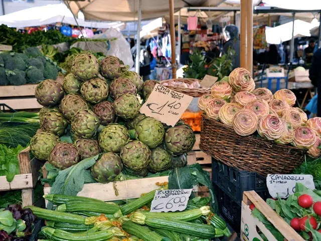 Mexican senator intends to voyage to Palestine for the purpose of rescuing abandoned children