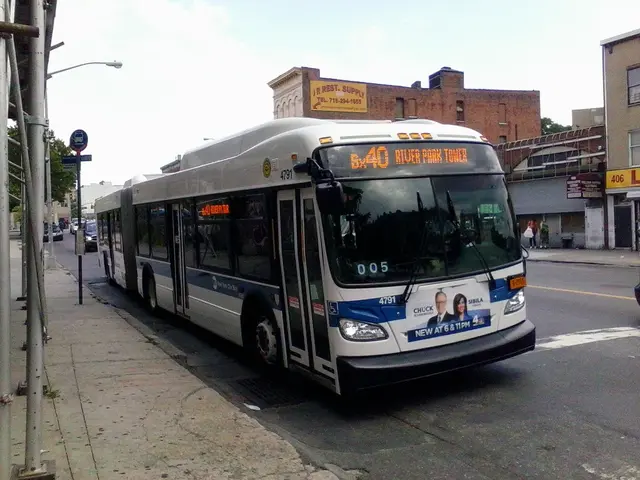 Massive Tree Collapse Kills Man and Injures Daughter in Vehicle Accident During Heavy Rainfall in...