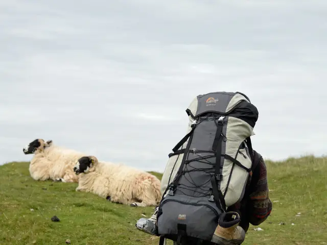 Massive Number of Nearly 411,000 Syrians Relocate Back to Homeland with Assistance from Türkiye...