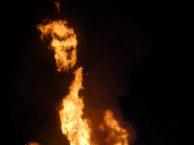 EU relentlessly aids countries grappling with wildfire devastation