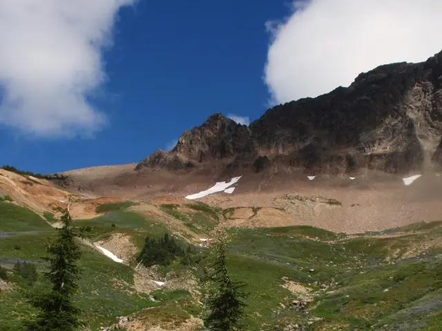 Mathew Don, an individual in question