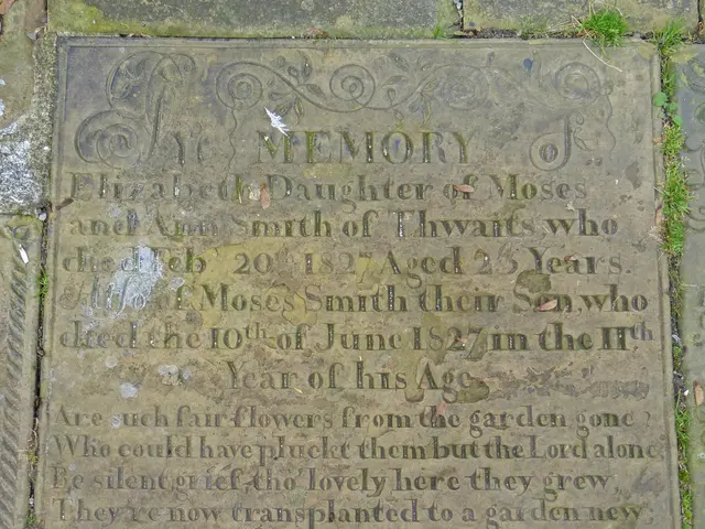 Swift's new album launch ignites excitement due to enigmatic selection of companion