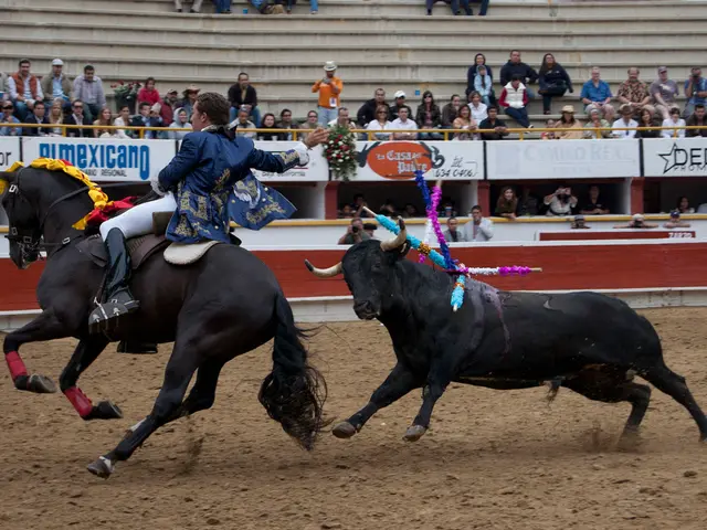 Spectator perishes during bullfighting event in France
