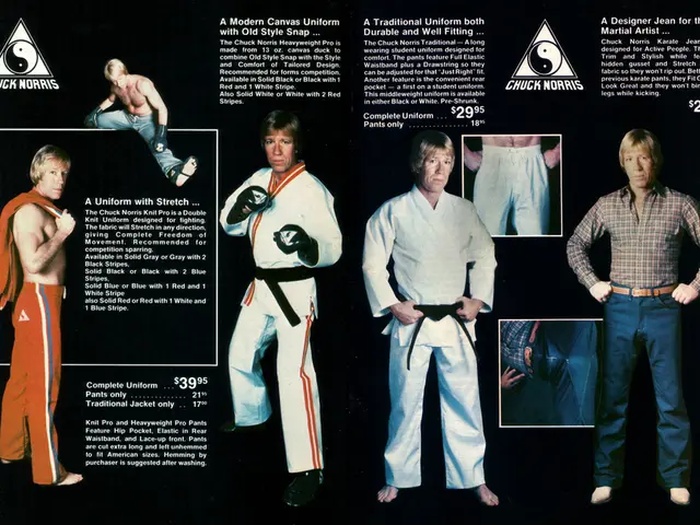 "The appeal of Conrad, a character from 'The Summer I Turned Pretty', as the Internet's top choice...