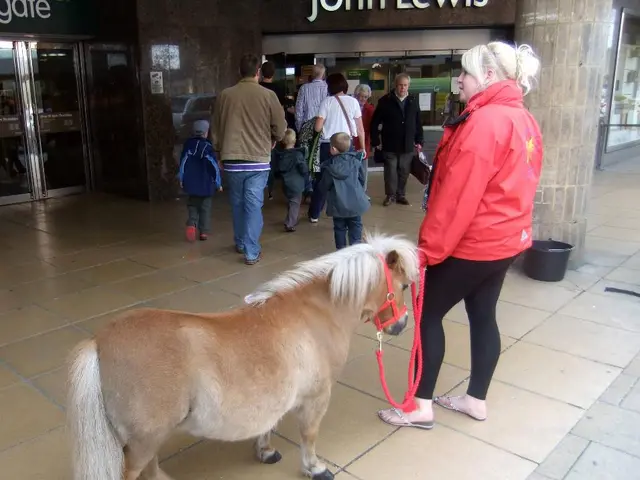 Record-breaking fund-raising nominee selected for top position in Inglis August (Late) Online...