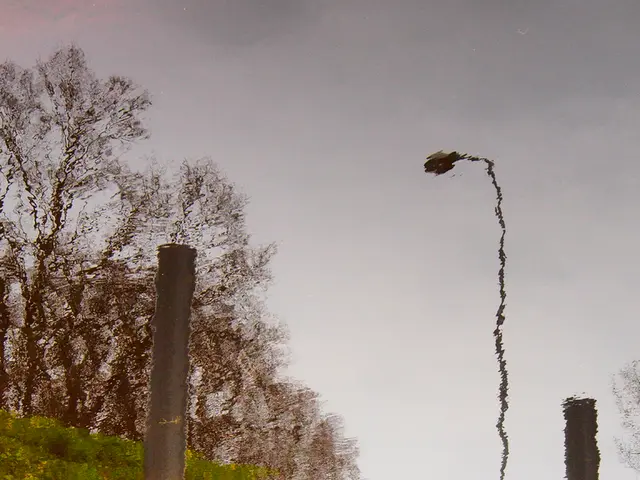 Riverside suffering decreases in Chapainawabganj as River Padma recedes