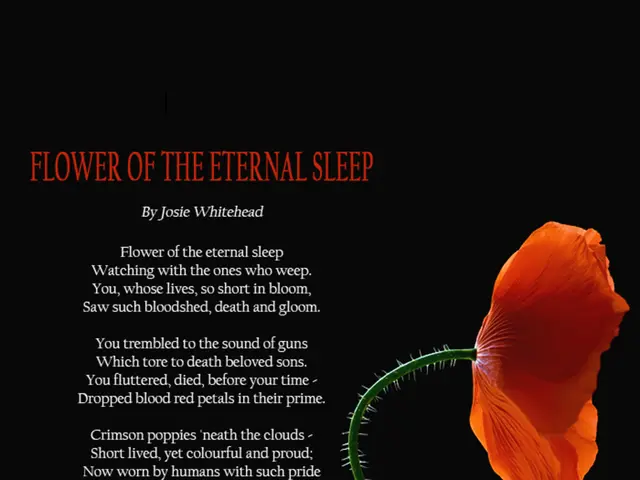 Weather Advisory Issued: Delhi-NCR to Experience Showers on Independence Day Morning, Orange Alert...