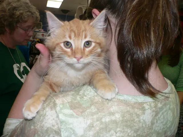 Doja Cat Reveals Launch Date for 'Vie' Album