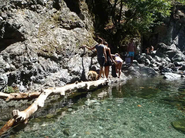 Alien Encounters: Unraveling the Enigma of A. Bertram Chandler's "The Cage" - A Tale of...