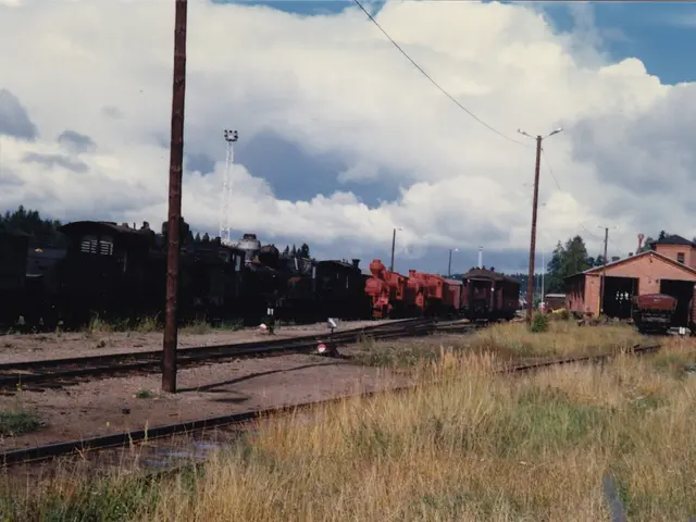 Festivities Continue! Discover 7 Remaining Events Where You Can Secure Your Tickets