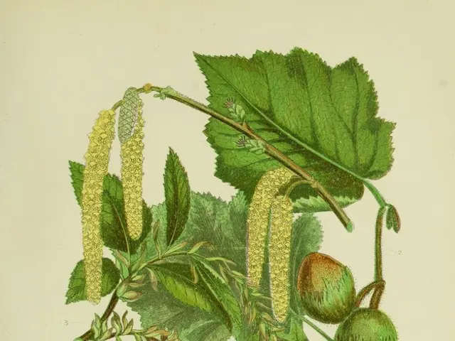 TikTok's Secret Recipe for Ligue 1's Peak User Interaction