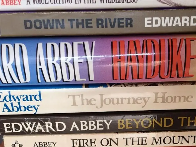 Contenders for the German Book Award