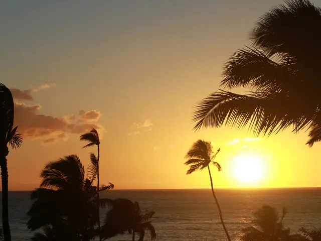 Skies are now clear for the appearance of the Perseids meteor shower.
