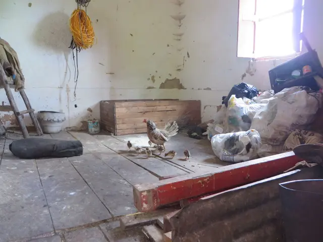 Bridal group chats on TikTok raise concerns for some users about excessive financial pressure in...