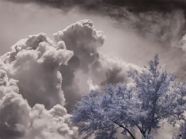 Forecast for Paraná on August 20, 2025: What does the weather have in store?