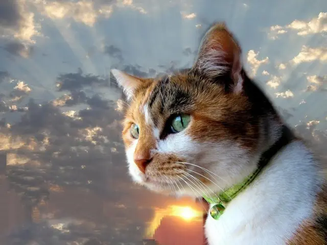 Catamarca weather prediction for August 20, 2025: what lies ahead for the weather on that day?