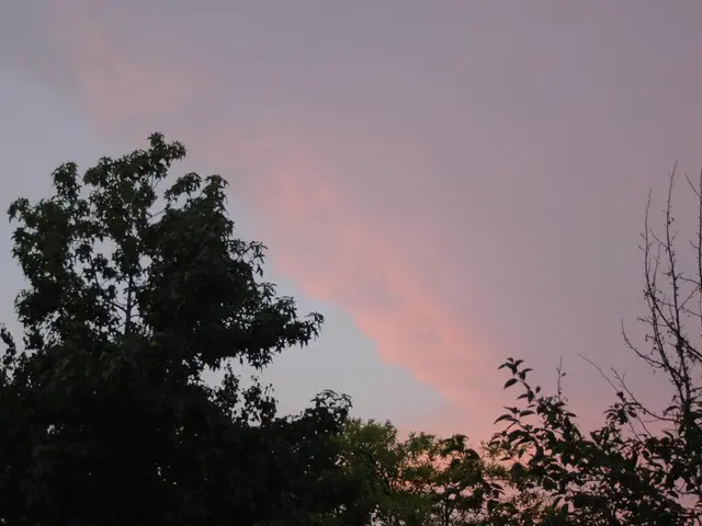 Forecasted weather in Pinamar on August 20th, 2025: What's in store for the climate on that day?