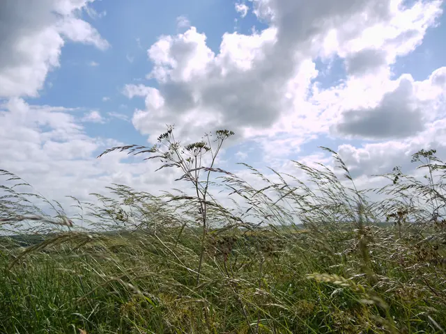 Tucumán's August 20th, 2025 weather outlook: what can you expect from the weather prediction?