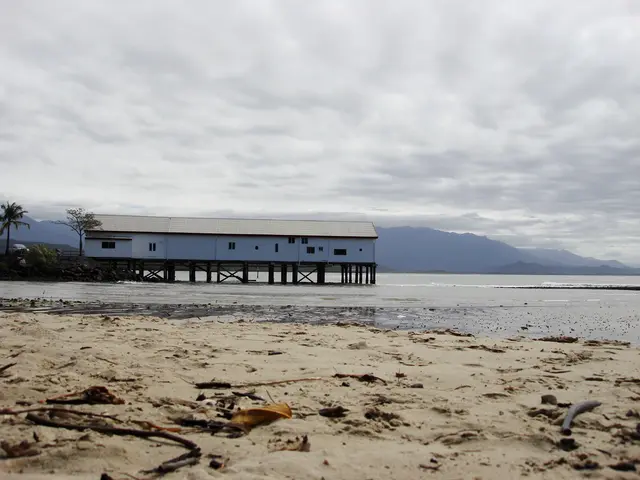 Movie Analysis: Dune: Part Two