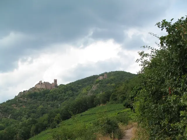 Fabled Realm in the Imaginary Universe