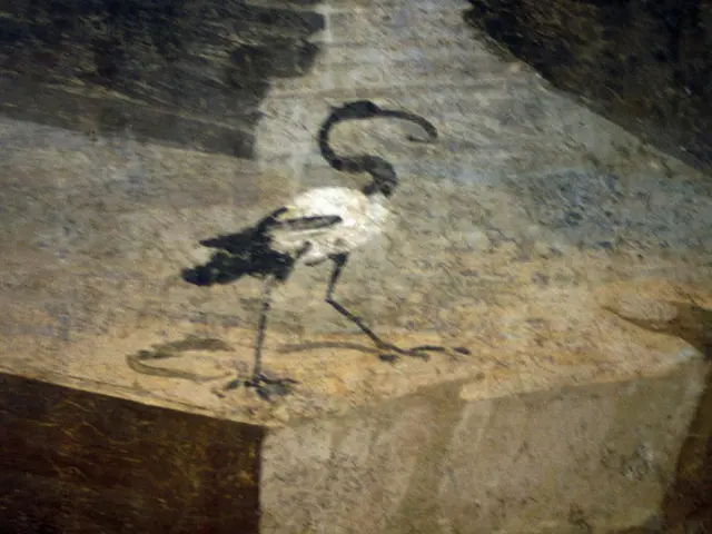 Author from Mainz city shortlisted for German Literature Award