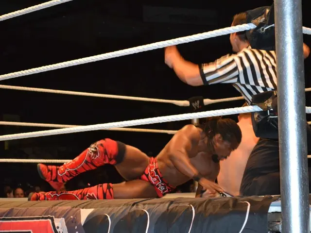 Appeals Court Reverses German Competition Authority's Decision in Lufthansa-Condor Dispute