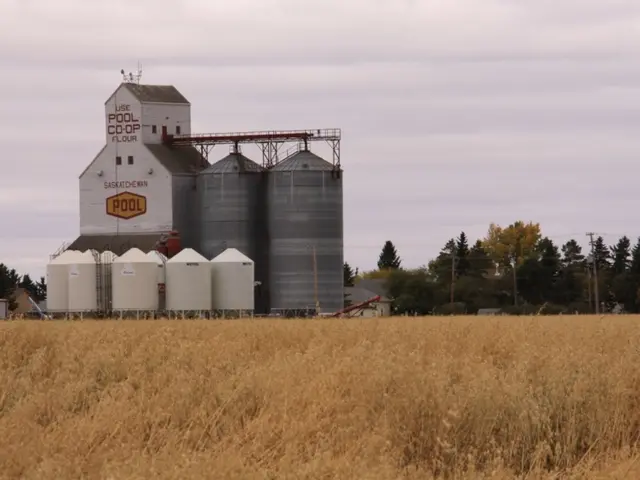 I-10 highway in East Houston resumes operation following a closure due to fallen power lines.