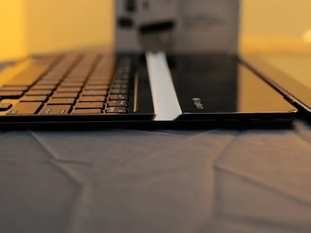 Fan of baseball, particularly the Cubs, draws attention online for persevering with laptop work...