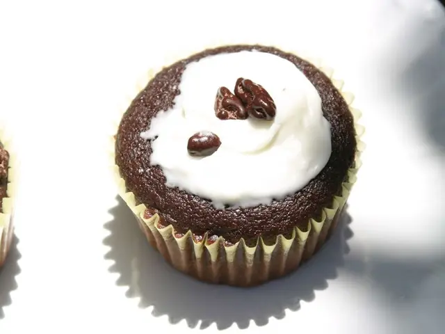 Elon Musk abandoning plans for a political party, focusing on his ventures in the business sector,...