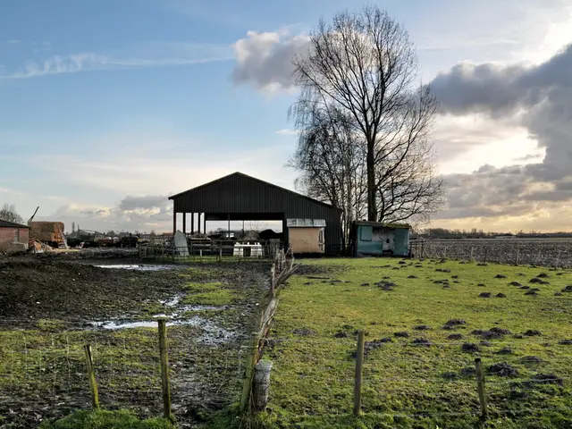 England enforces Biodiversity net gain regulations