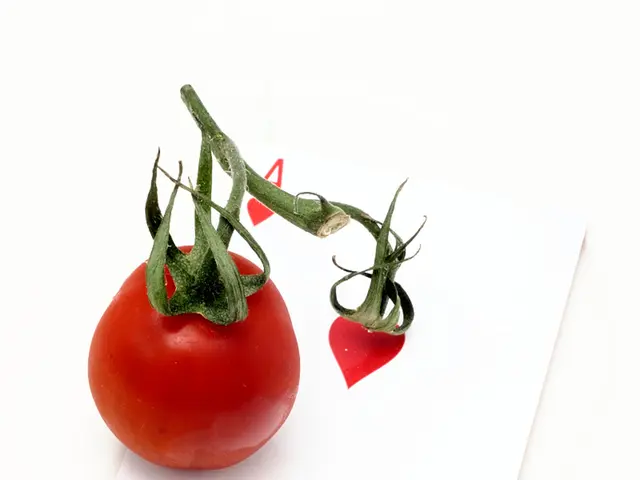 New Arrival: Dino Drop by Pragmatic Play