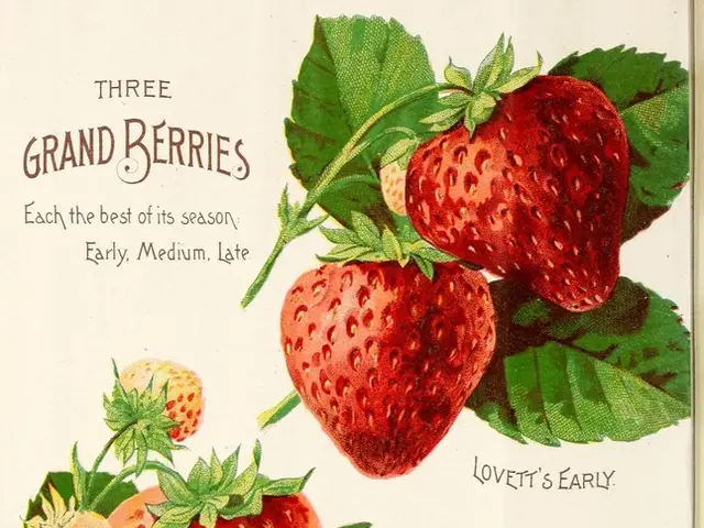 Dramatic Emmerdale news: Moira Dingle receives shocking, explosive details!