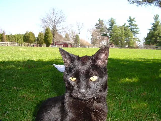 Sienna Blake Faces Danger As Father, Her Killer, Pursues Relentlessly!