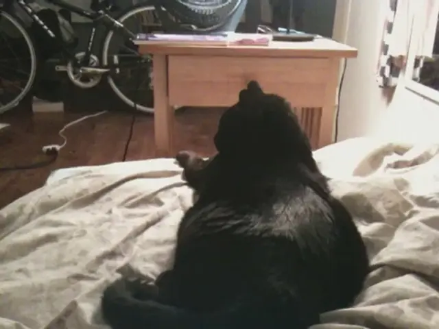 Dramatic revelations on Emmerdale: Dylan extends a startling proposition!