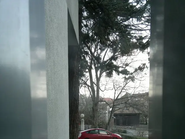 Coronation Street Reveal: Abi Webster Uncovers Carl's Hidden Indiscretion