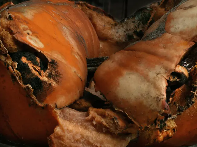 Anti-Slaughter Protest by Maharashtra Political Opponents on Independence Day