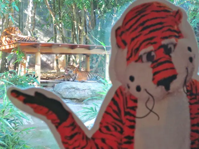 Indian Prime Minister Modi undertakes a lion safari in Gir, Gujarat