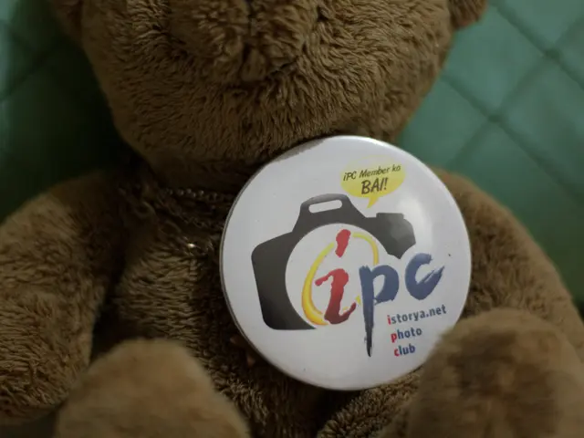 "Displays of the United Buddy Bears collection take place in Singapore"